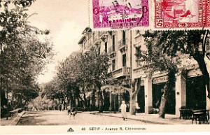 Setif- Avenue Georges-Clemenceau - 1906